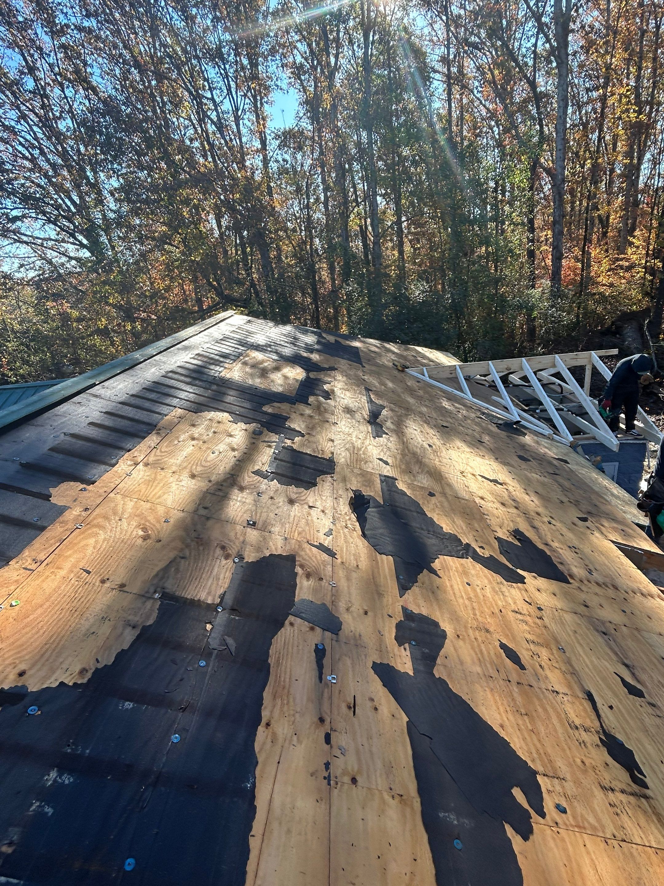 Tree Damage Repair and New Roof by Roofsters