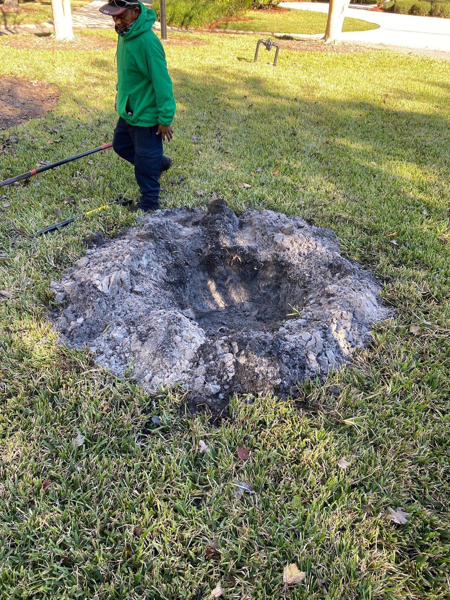 Deerwood Community | Oak Tree Replacement Project by ProGreen Services