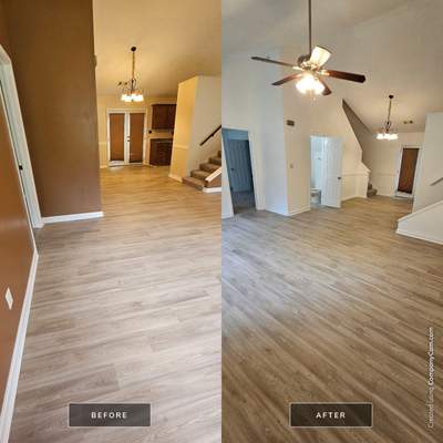 Interior Painting