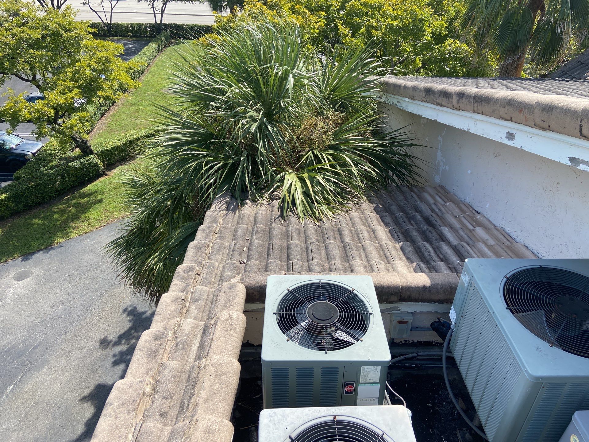Commercial Roof Cleaning Coral Springs by BKB Pressure Cleaning LLC