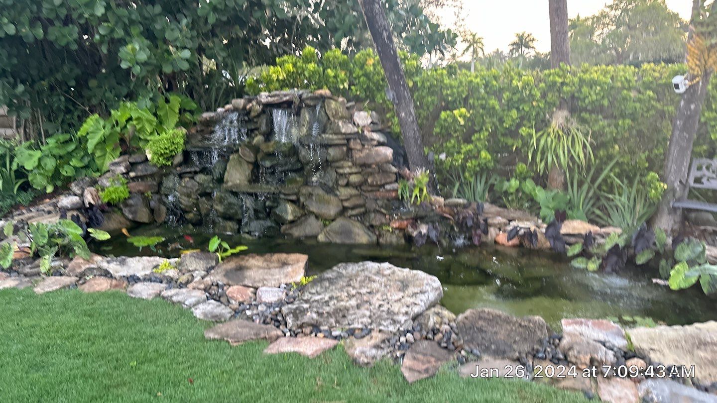 A Beautiful Relaxing Koi Pond with Waterfall in Pinecrest by Nature's Dream Landscape and Tree Service