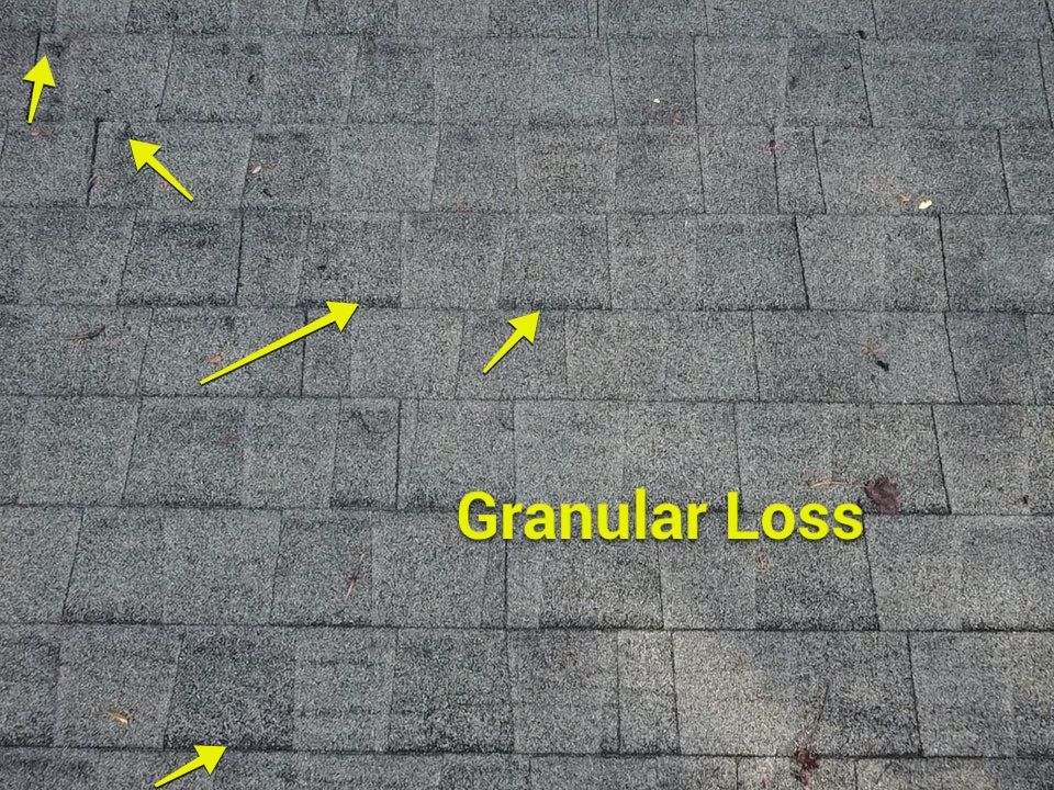 Project in Louisa by Roof Maxx of Midlothian