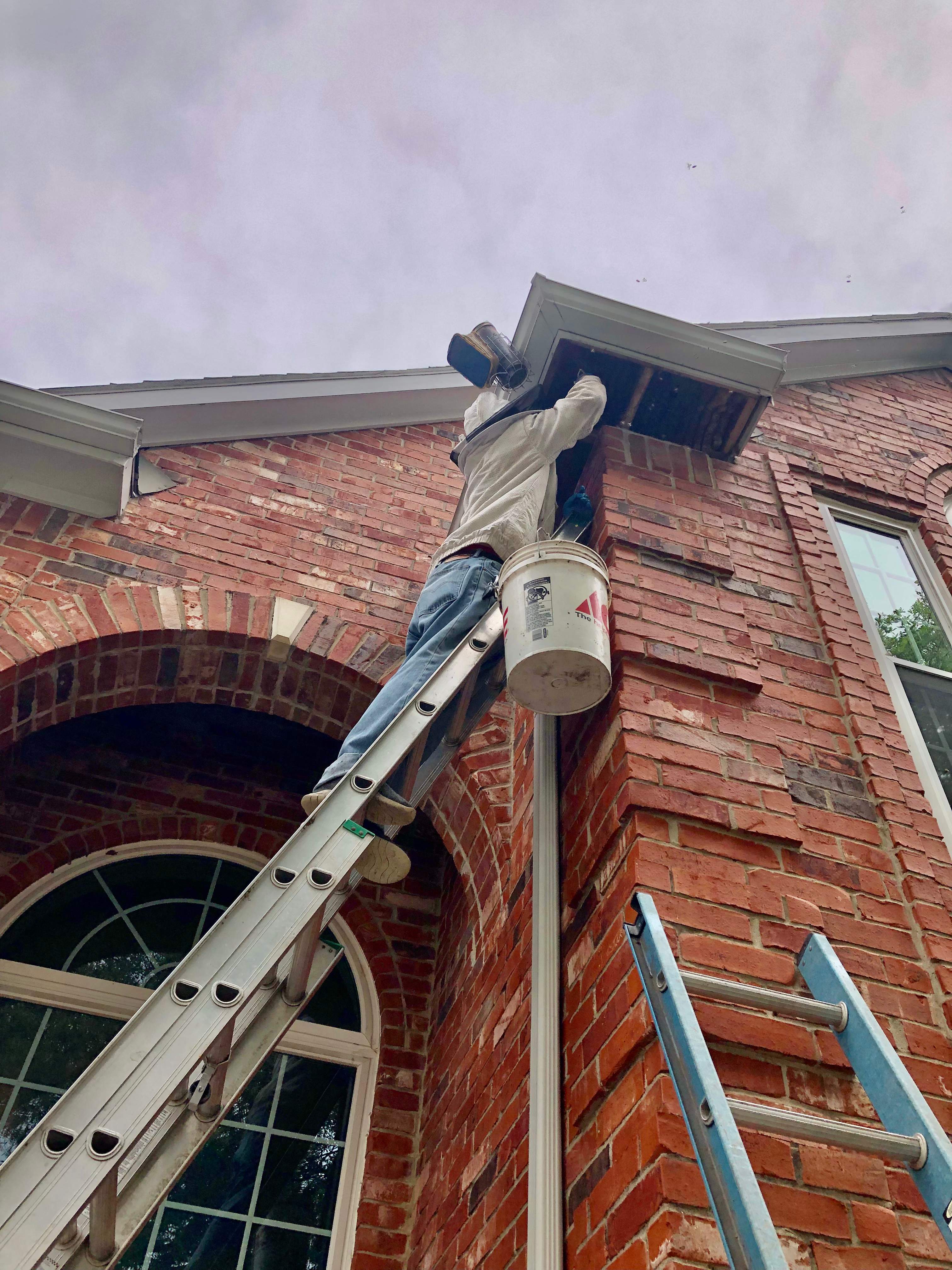 Caution! by Rockwall Honey Bee Company