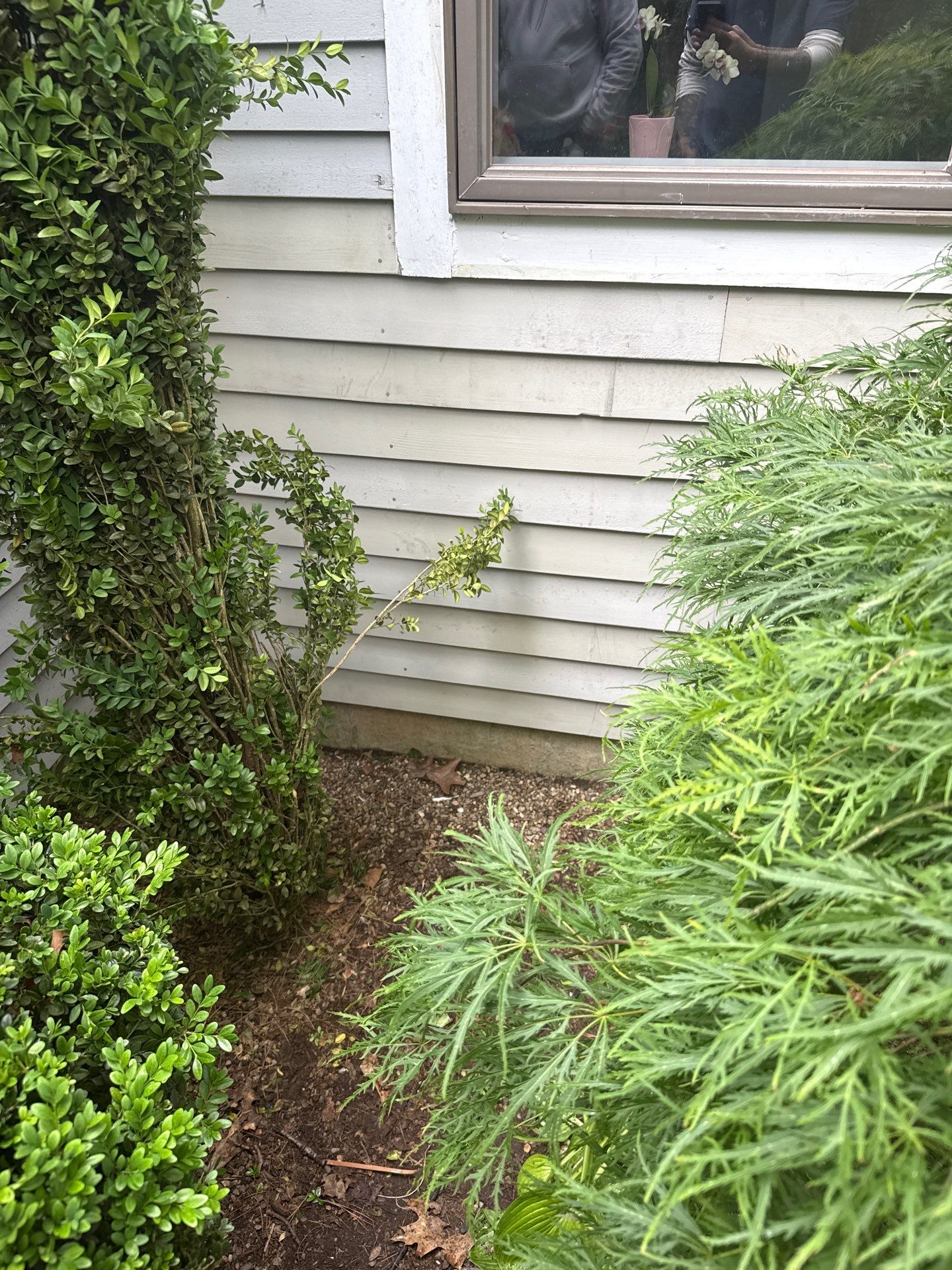 Siding | Concord by Mighty Dog Roofing of Greater Middlesex County