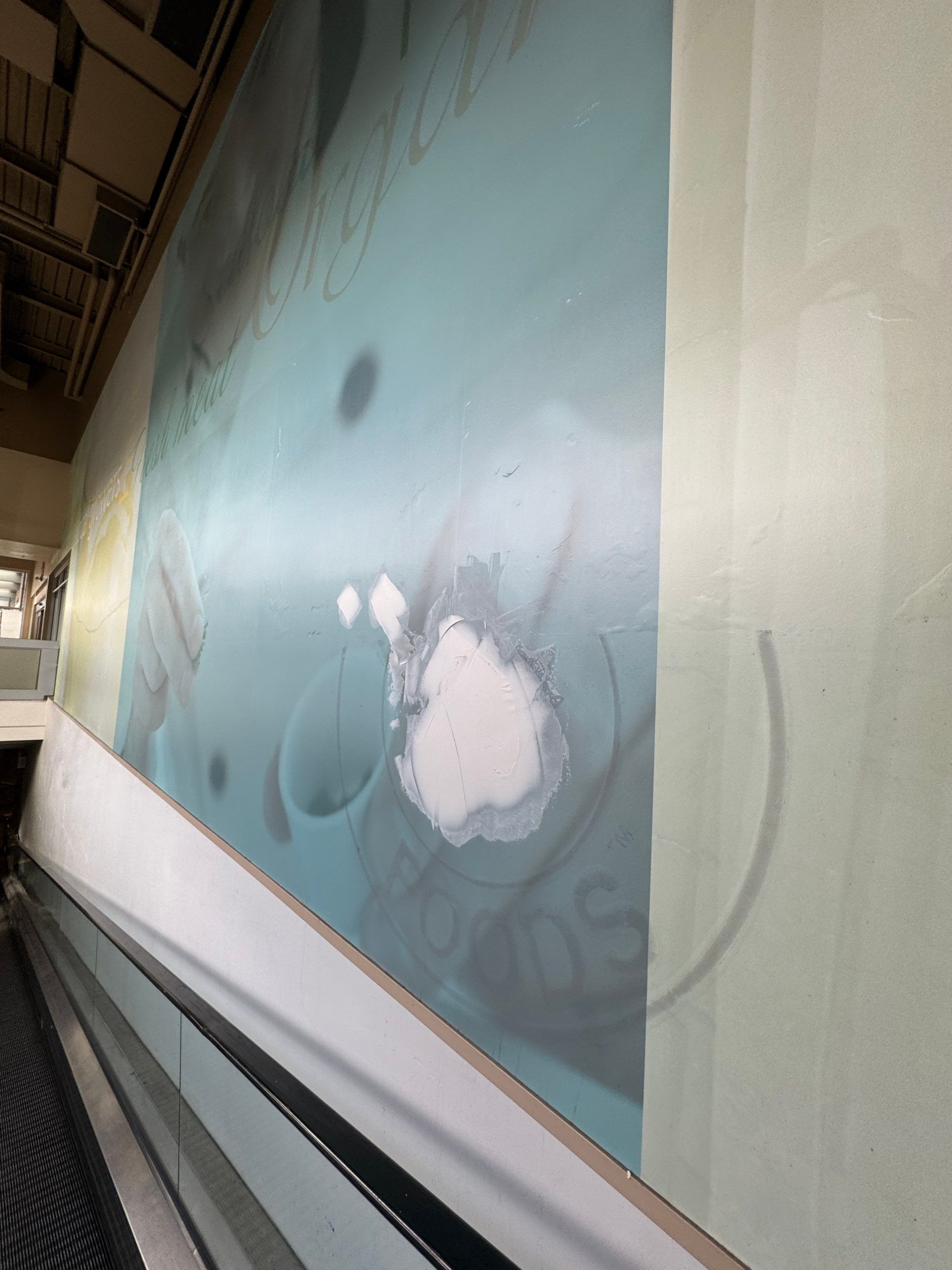 Commercial Prime & Paint Project by YVR Construction Group