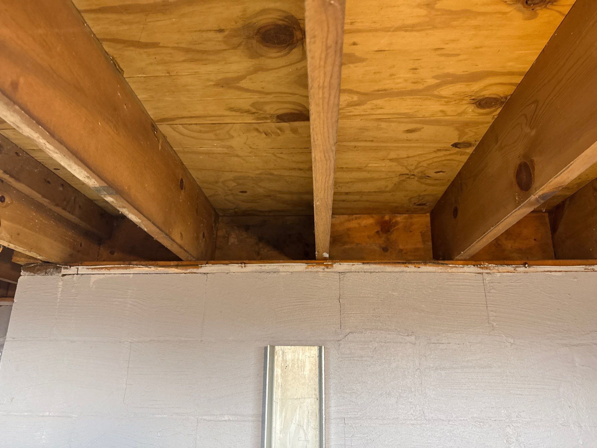 Rodent clean up and sanitation in Pittsburgh, PA 15237 by Home Environment Solutions