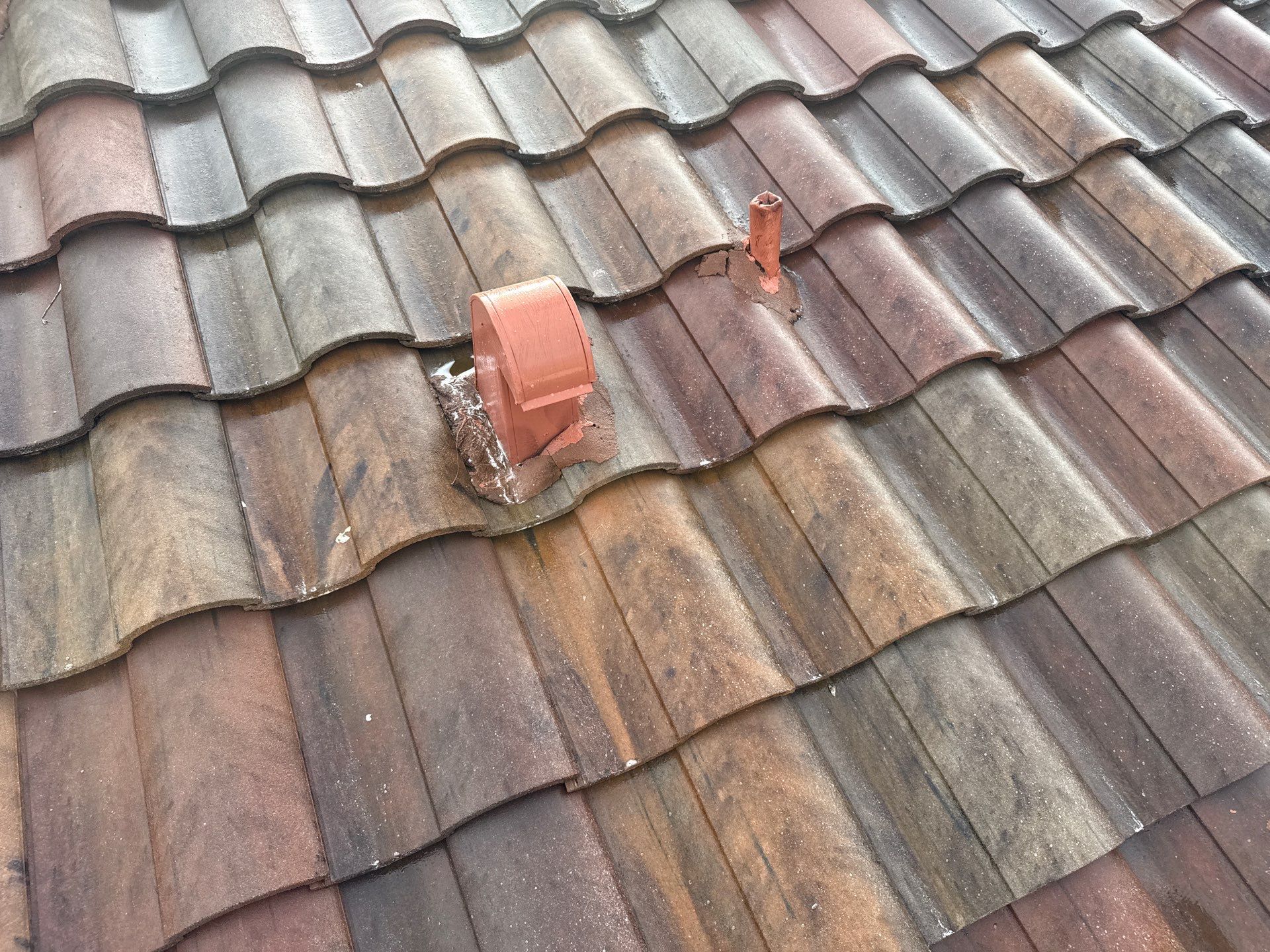Paver Pool Deck, Driveway & Concrete Tile Roof Cleaning in River Strand, Bradenton, FL | Sunshine AquaWash by Sunshine AquaWash