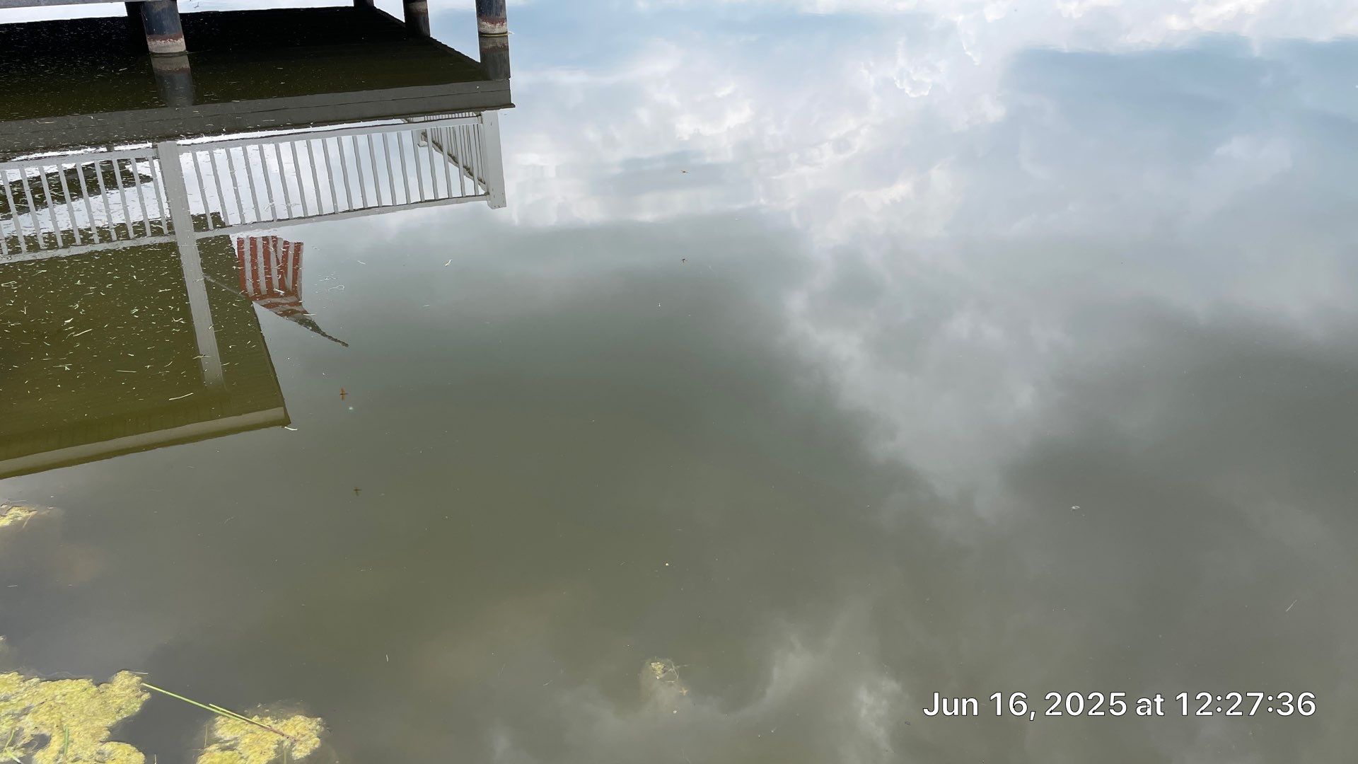 Maas Project by  Bellus Aquatic Solutions