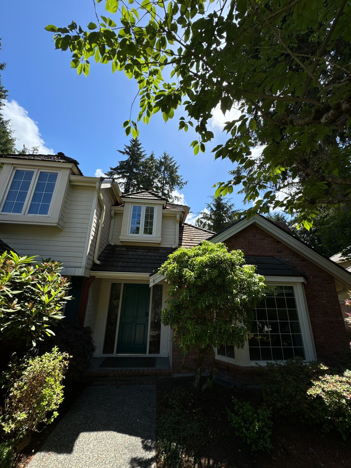 Project in Mill Creek by Peaks and Valleys Construction
