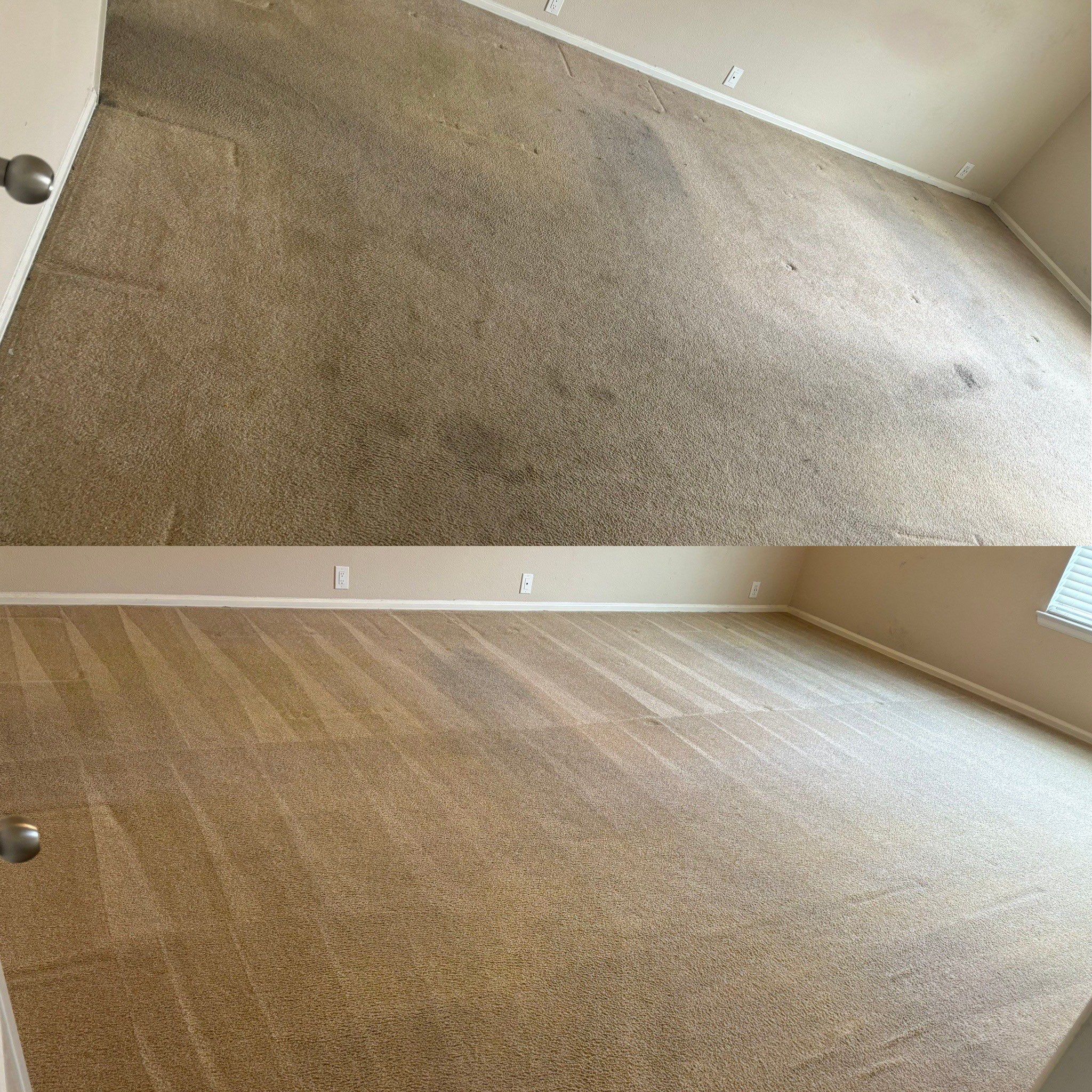 the service is deep carpet cleaning removing stains and dirt to restore the appearance of the flooring