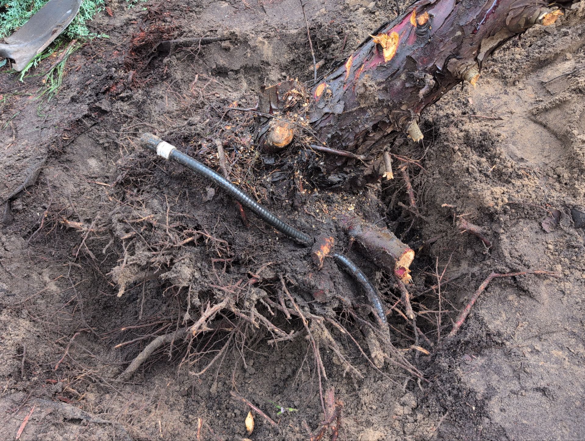 Tree Removal by 
M.A.B. Landscaping & Property Maintenance