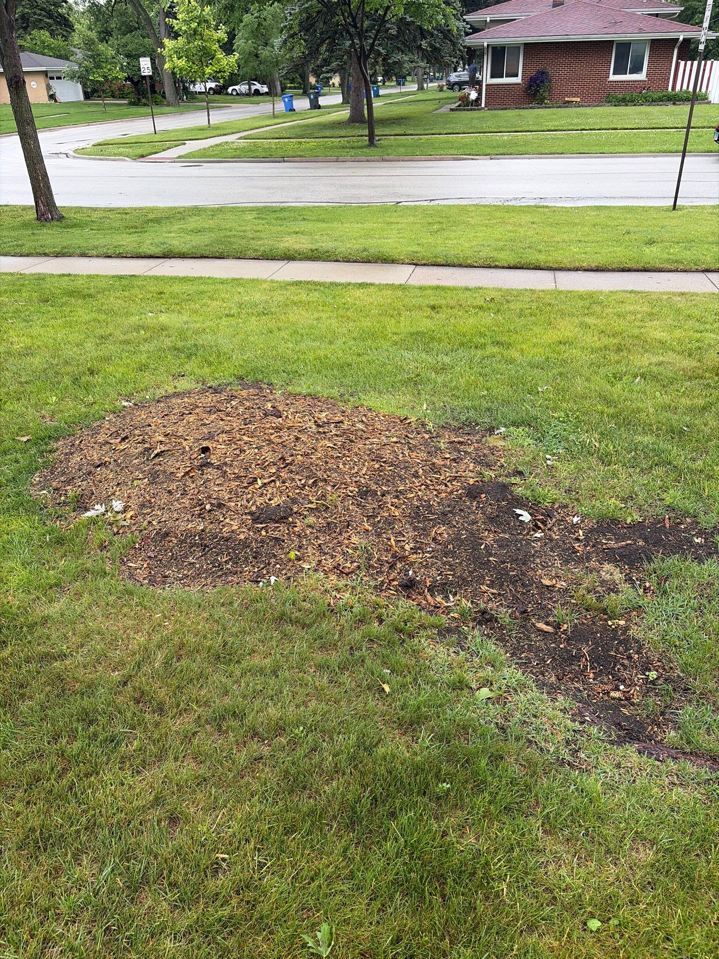 Martha C. - Mount Prospect, IL by A&N 