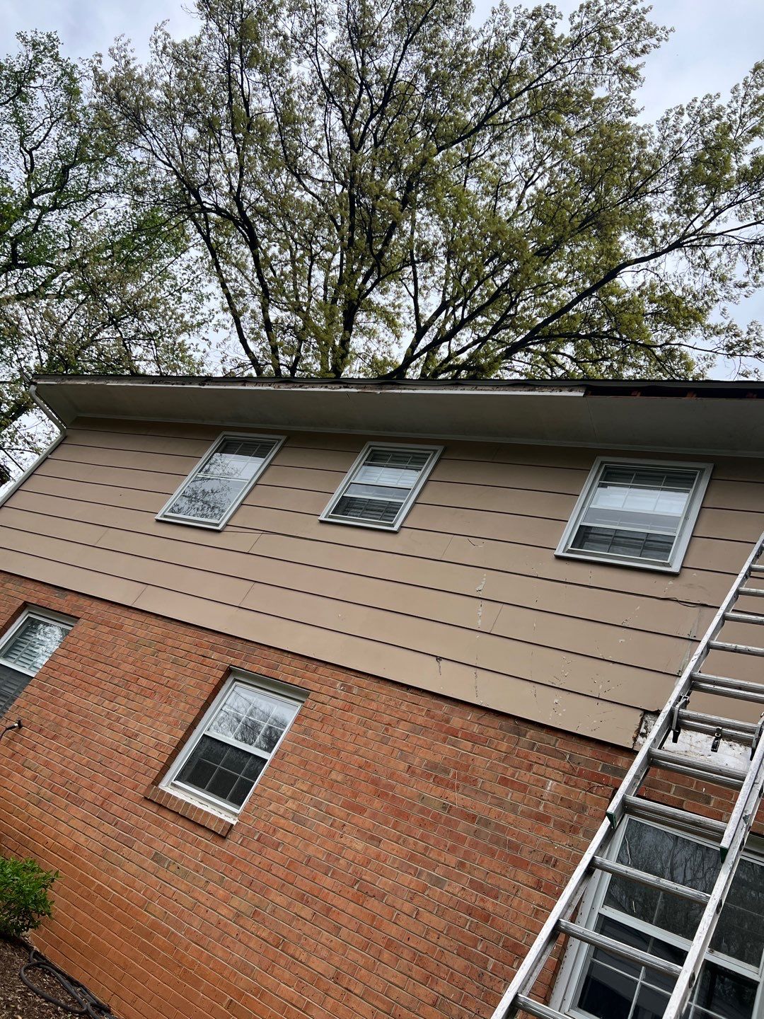 Arlington: Multi-Trade Exterior Remodel by RM Banning, Inc.