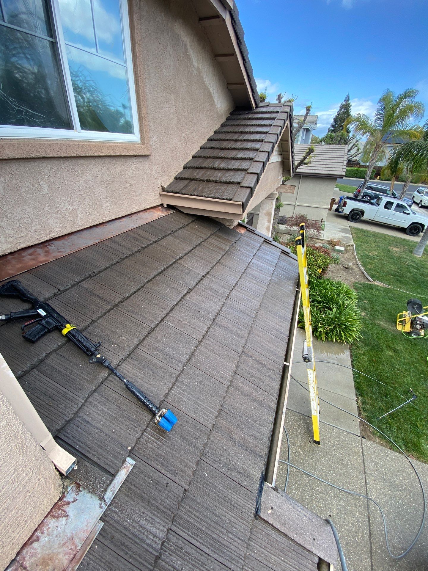 Moss Removal by Top Elevation