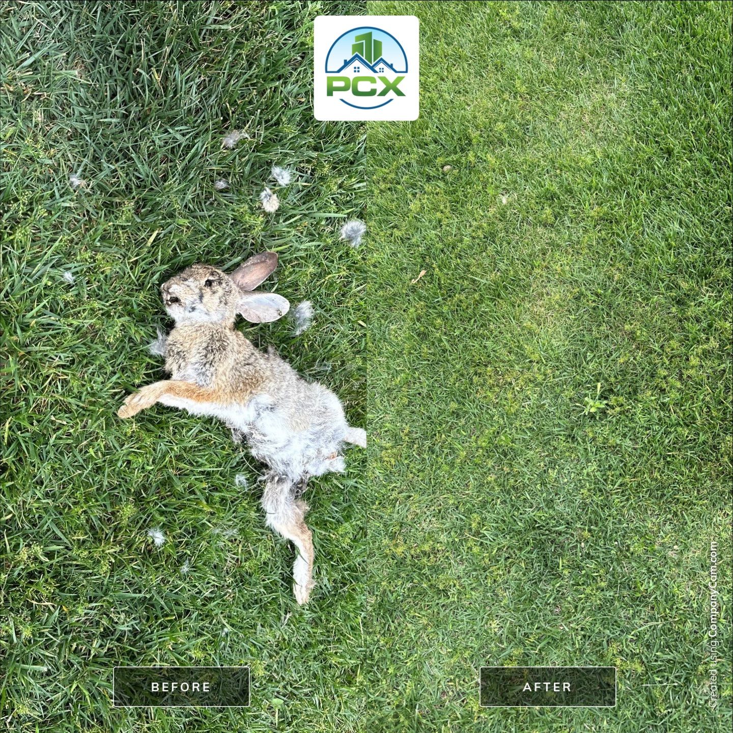 Orange County gutter cleaning using a vacuum by Property Cleaning Experts