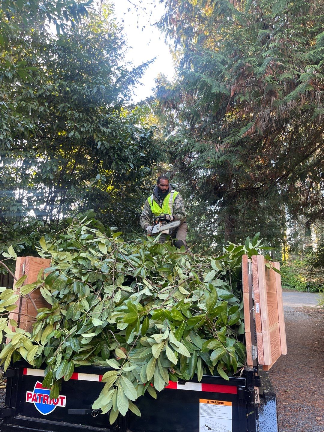 Tree Removal using Tree Removal by Mike Jones & Sons Tree Service LLC 