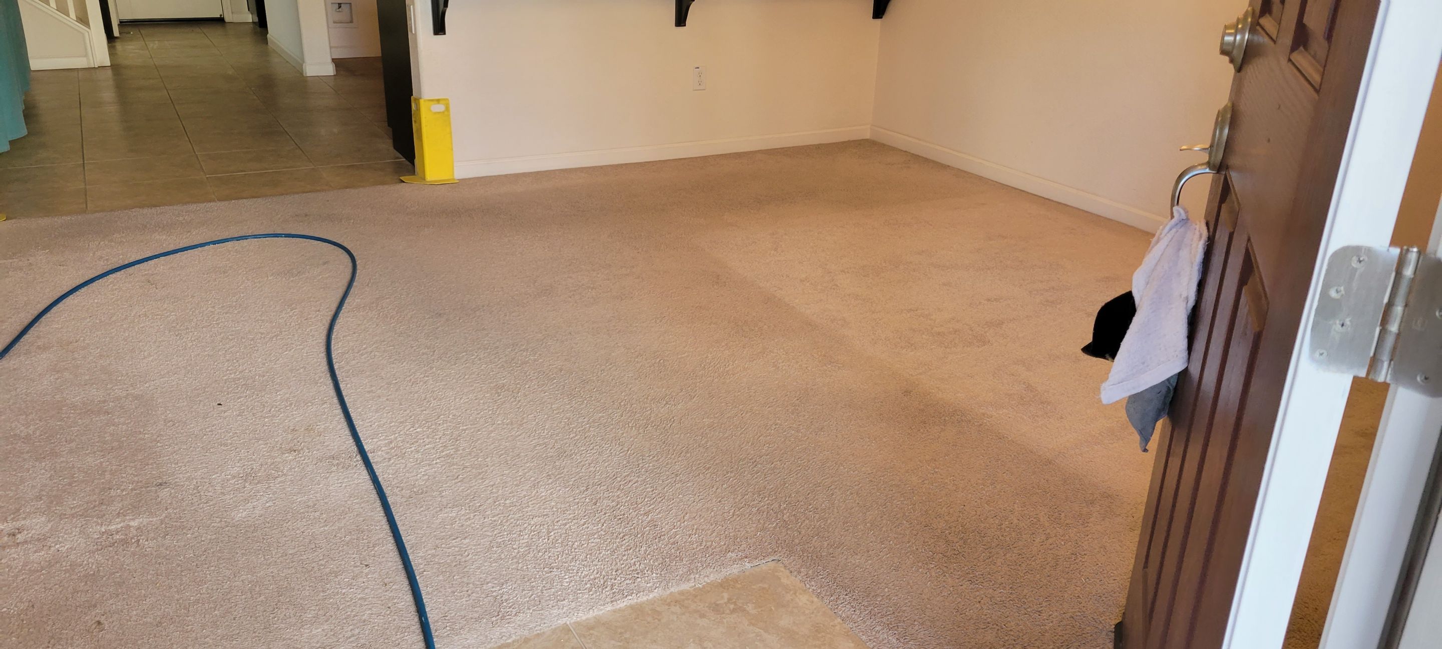 Carpet Cleaning of a Rental Property by Ardent Carpet Restore LLC
