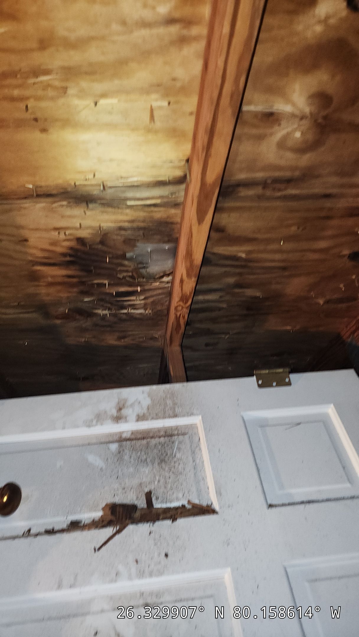 Tile Roof Repair in Boca Raton – Expert Restoration & Leak Repair by Aastro Roofing