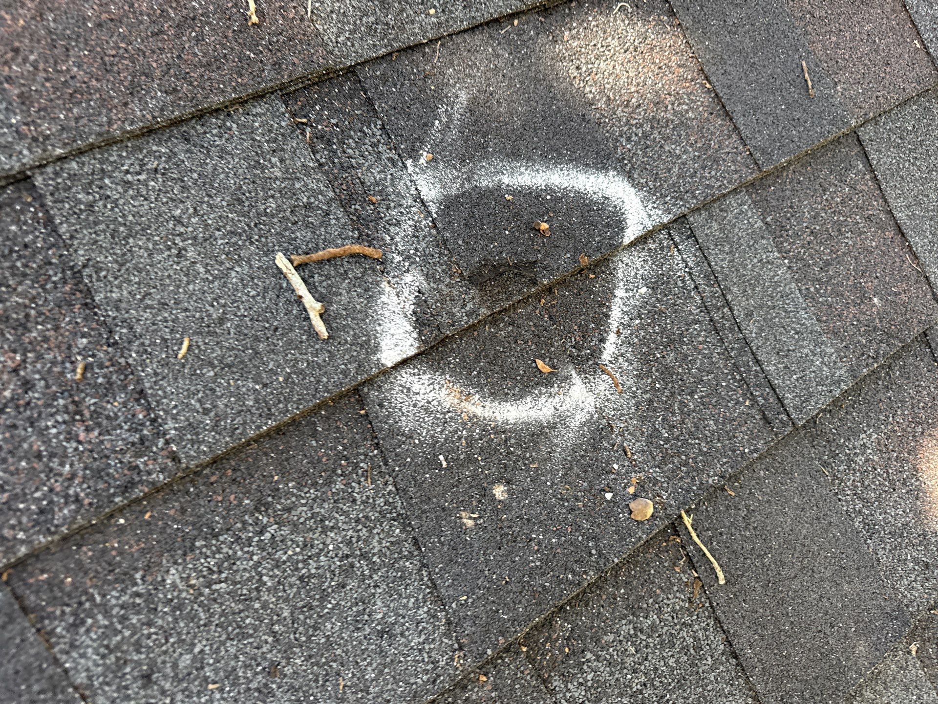 Project in Lakeland by You Restorations LLC DBA YOU-Home