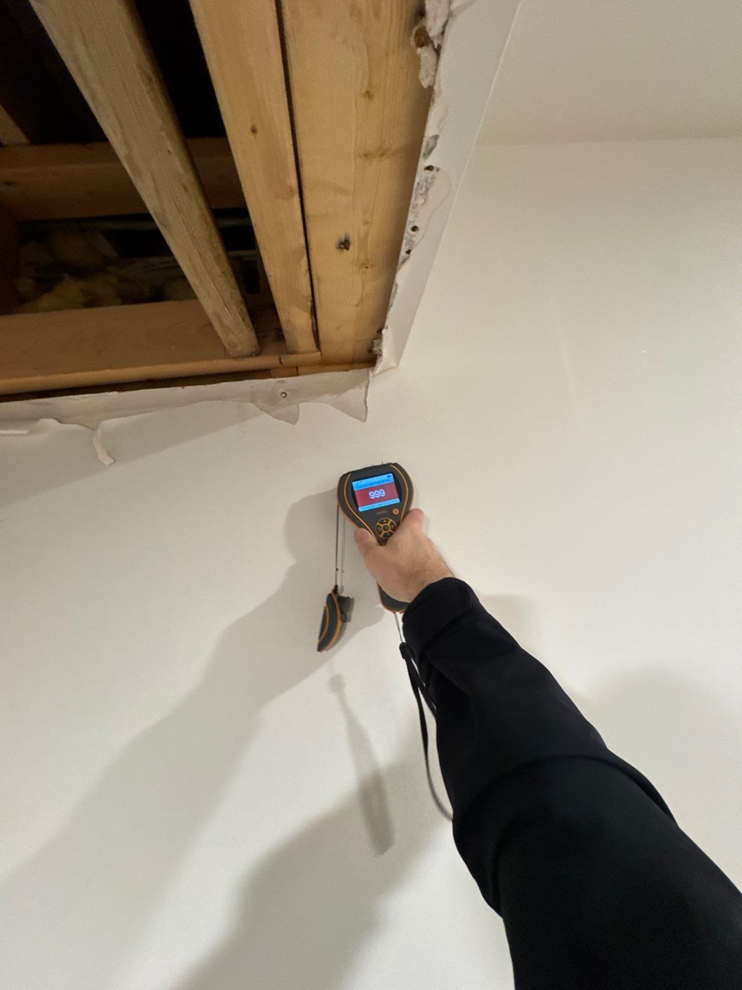 Project in Commerce Twp by EzDry Water Mitigation & Property Restoration