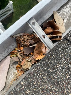 Why Addison Gutters Clog and Ice Up