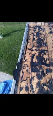 Project in Port Richey