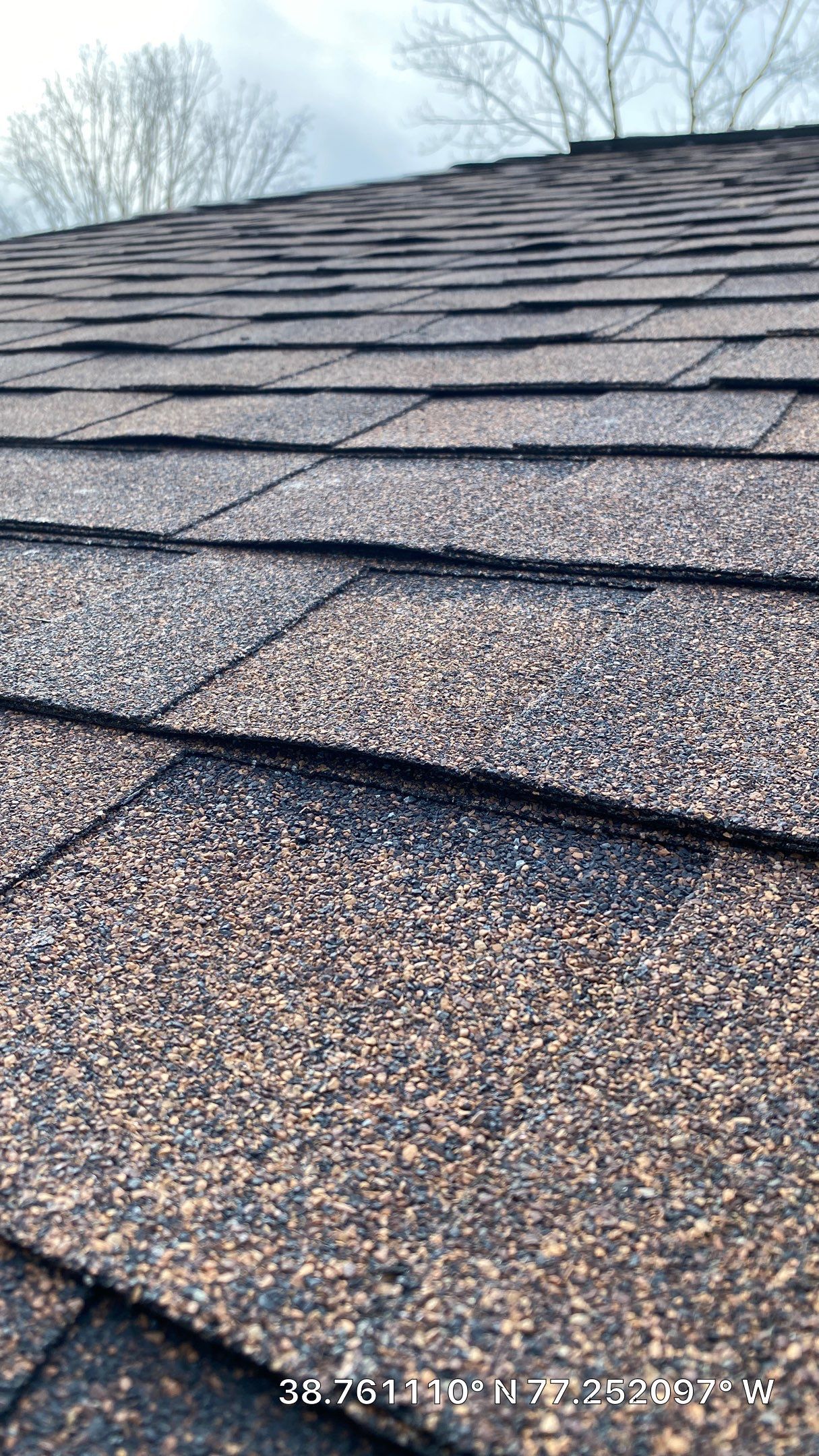 Springfield: CertainTeed Landmark Designer Shingles in Burnt Sienna by RM Banning, Inc.