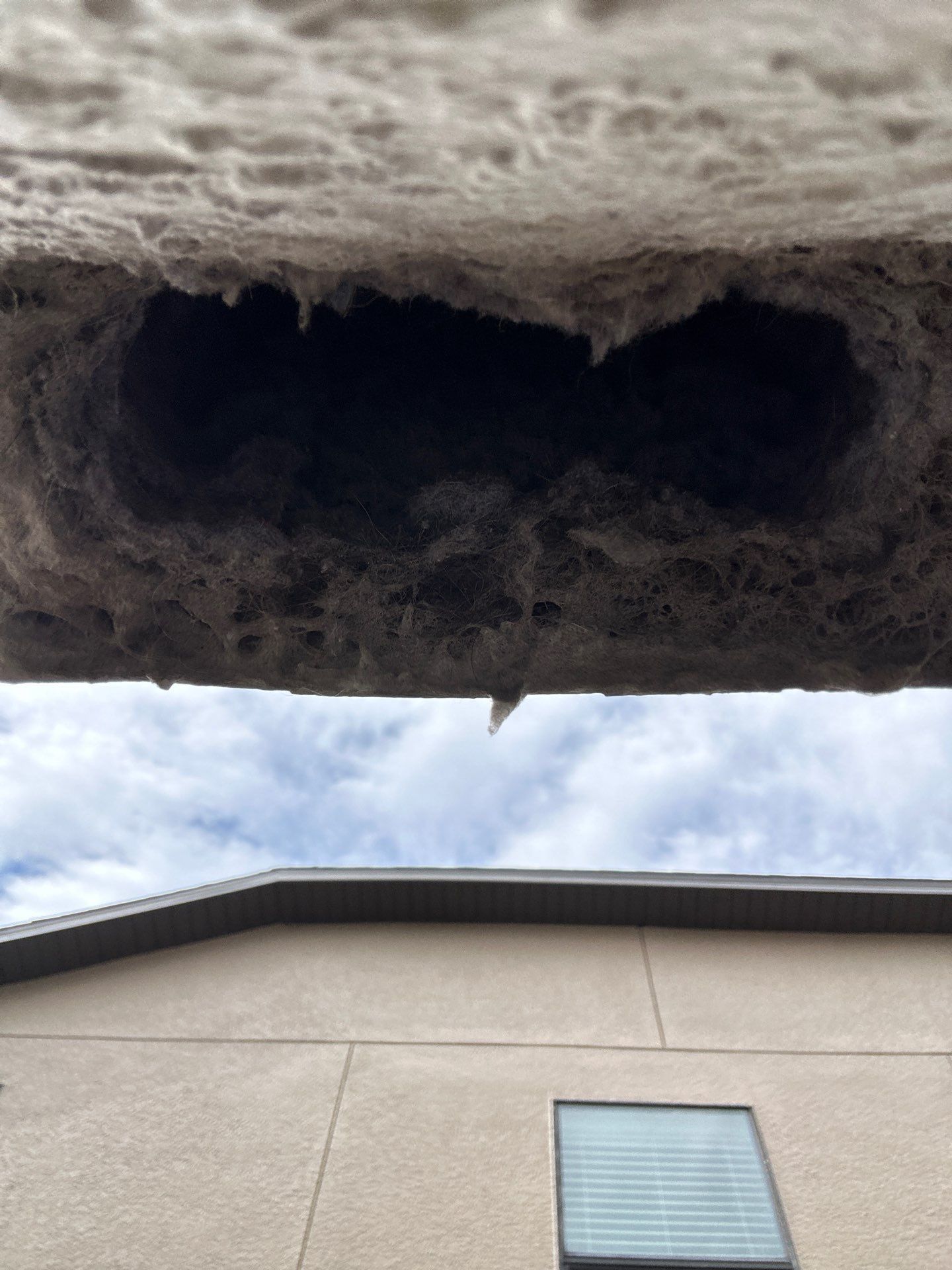 Air Duct Dryer Vent Cleaning in Minneola by Hygienic Air, Inc