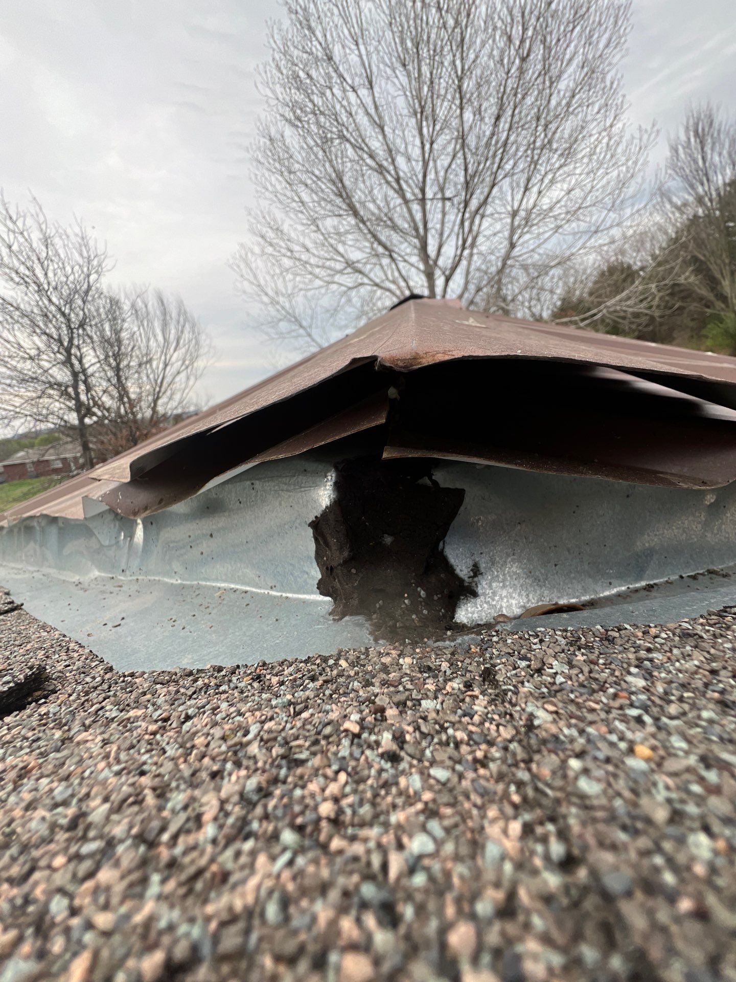 Roofing & Fascia Replacement done right!! by In & Out Construction & Remodeling, LLC