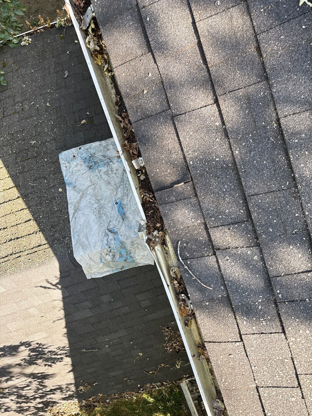 Jonathon Salmons Hail & Tree Damage Report by Constructive Project Management