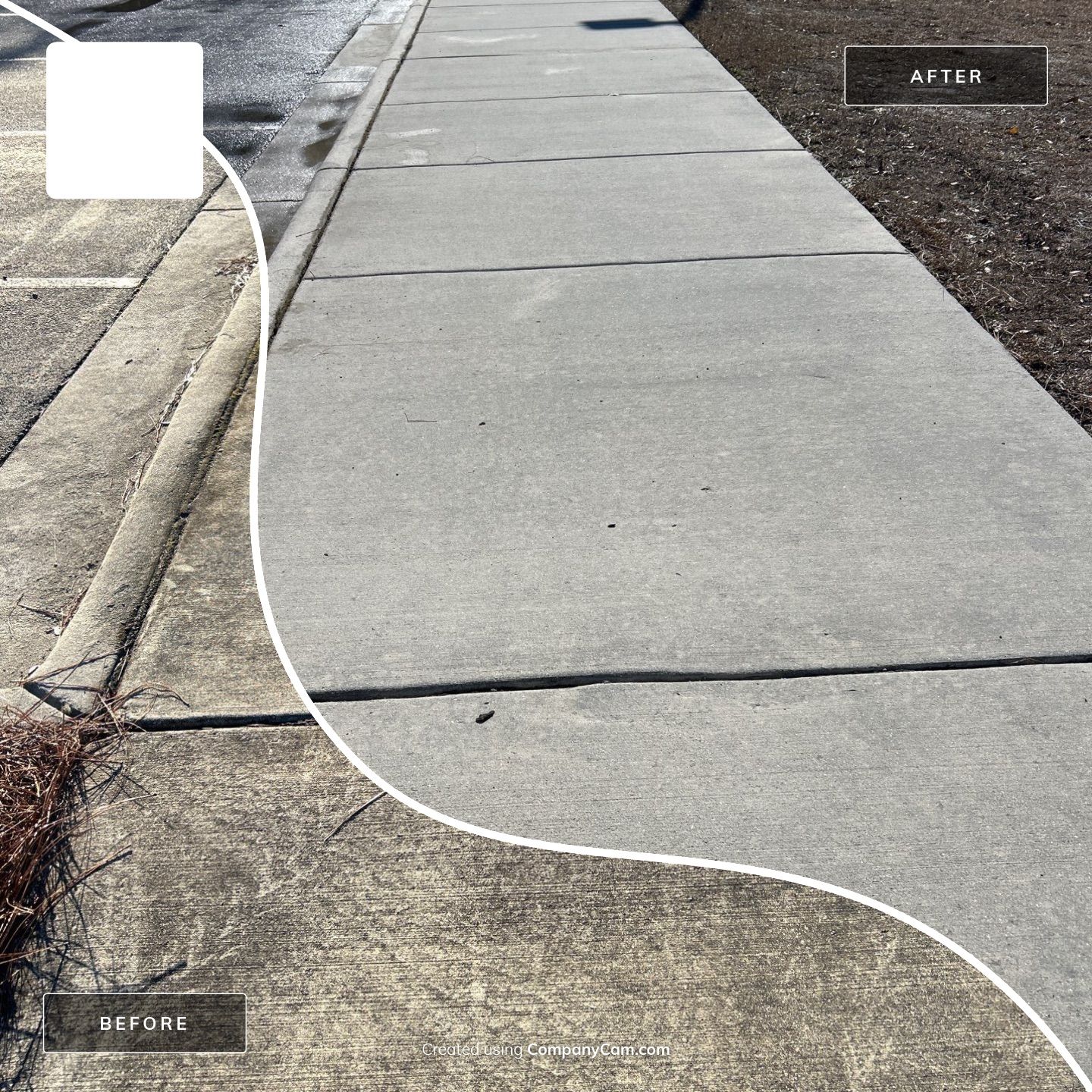 Concrete Cleaning in Hampstead by Shark Power Washing