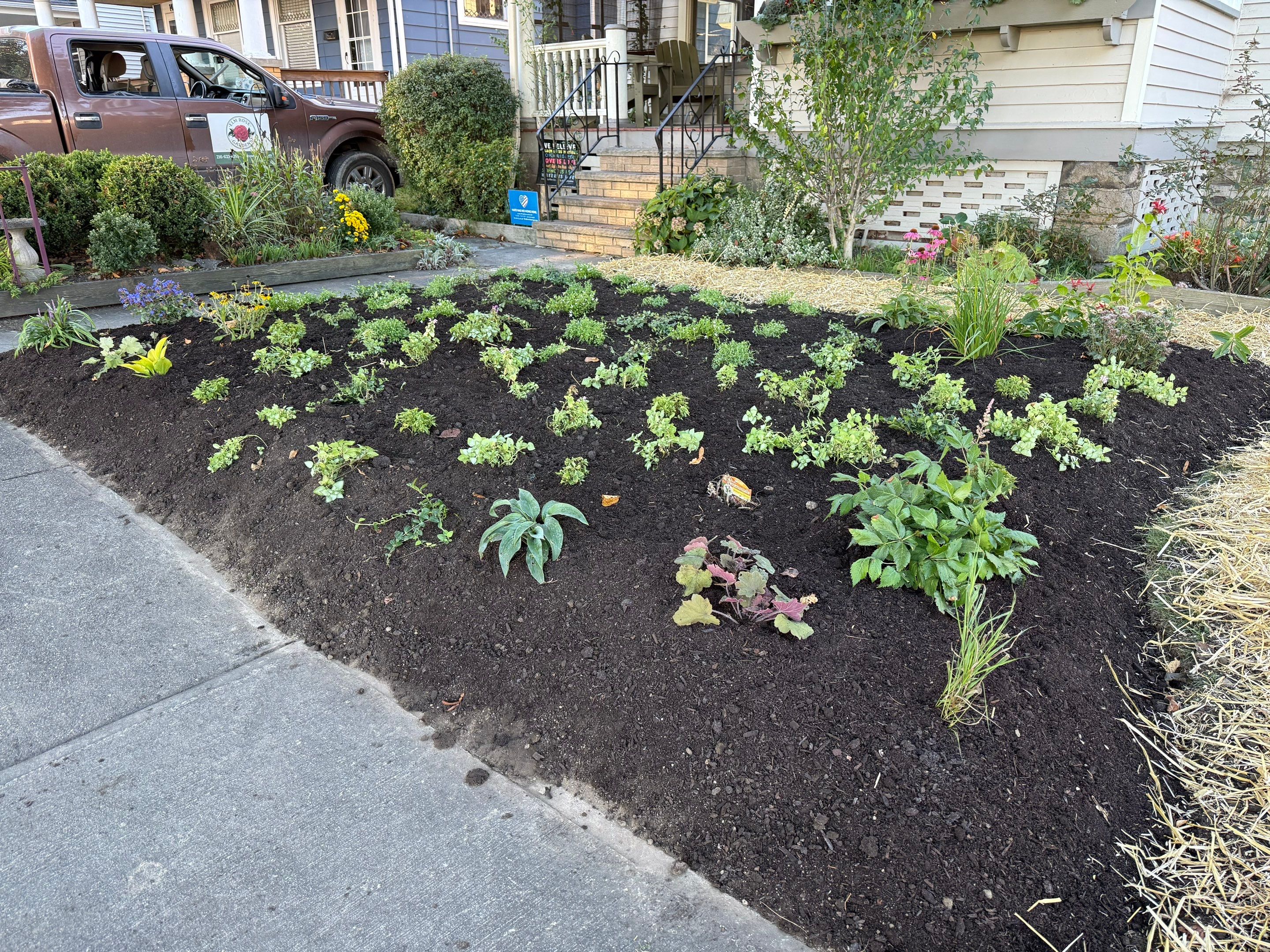 Purple Fence Project by Elm Rose Gardens