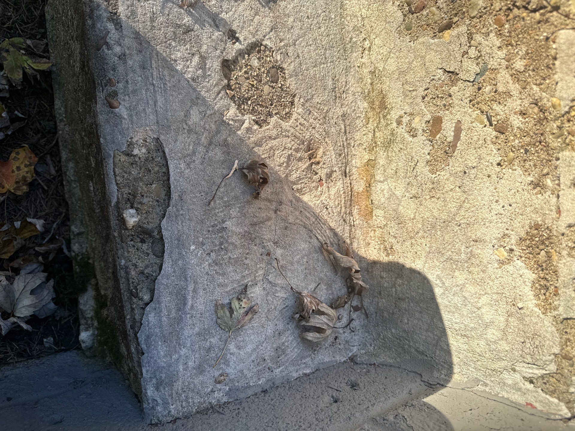 Garage + Steps + structural Repair Project in Pittsburgh by Floors in a Day, Inc