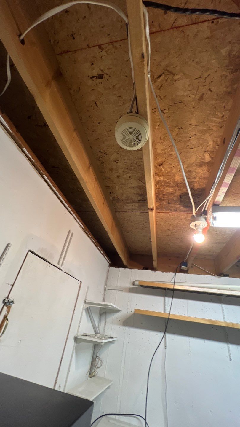 Mold Damage by Accountable Home Services