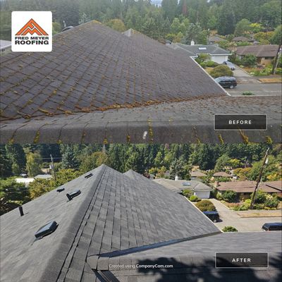 Roof Project in Seattle