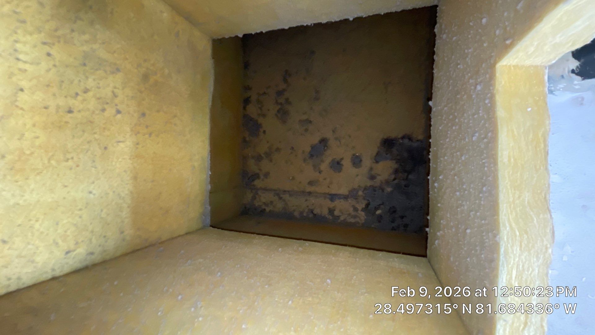 Air Duct Cleaning in Clermont by Hygienic Air, Inc