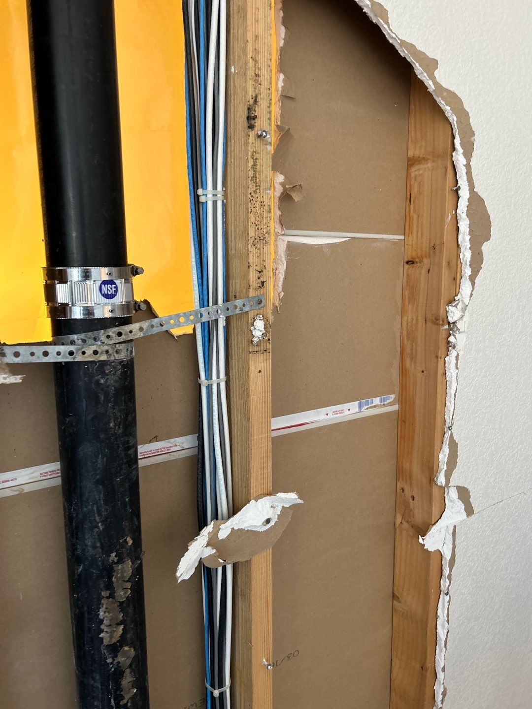 Mold Remediation by Accountable Home Services