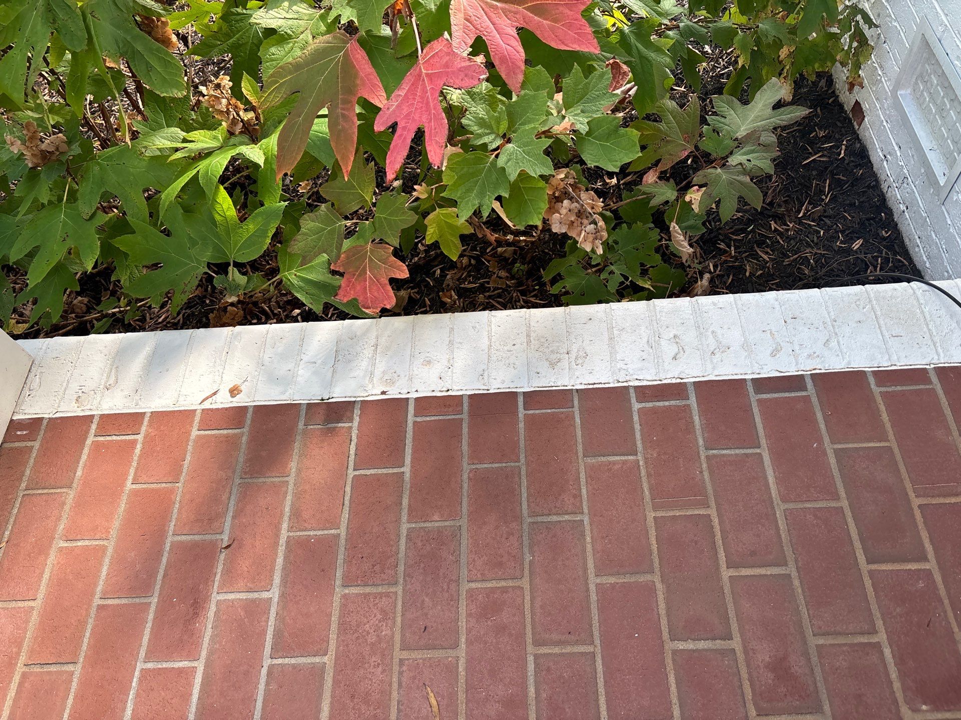 Paver Patio using TopSeal by DuraSeal