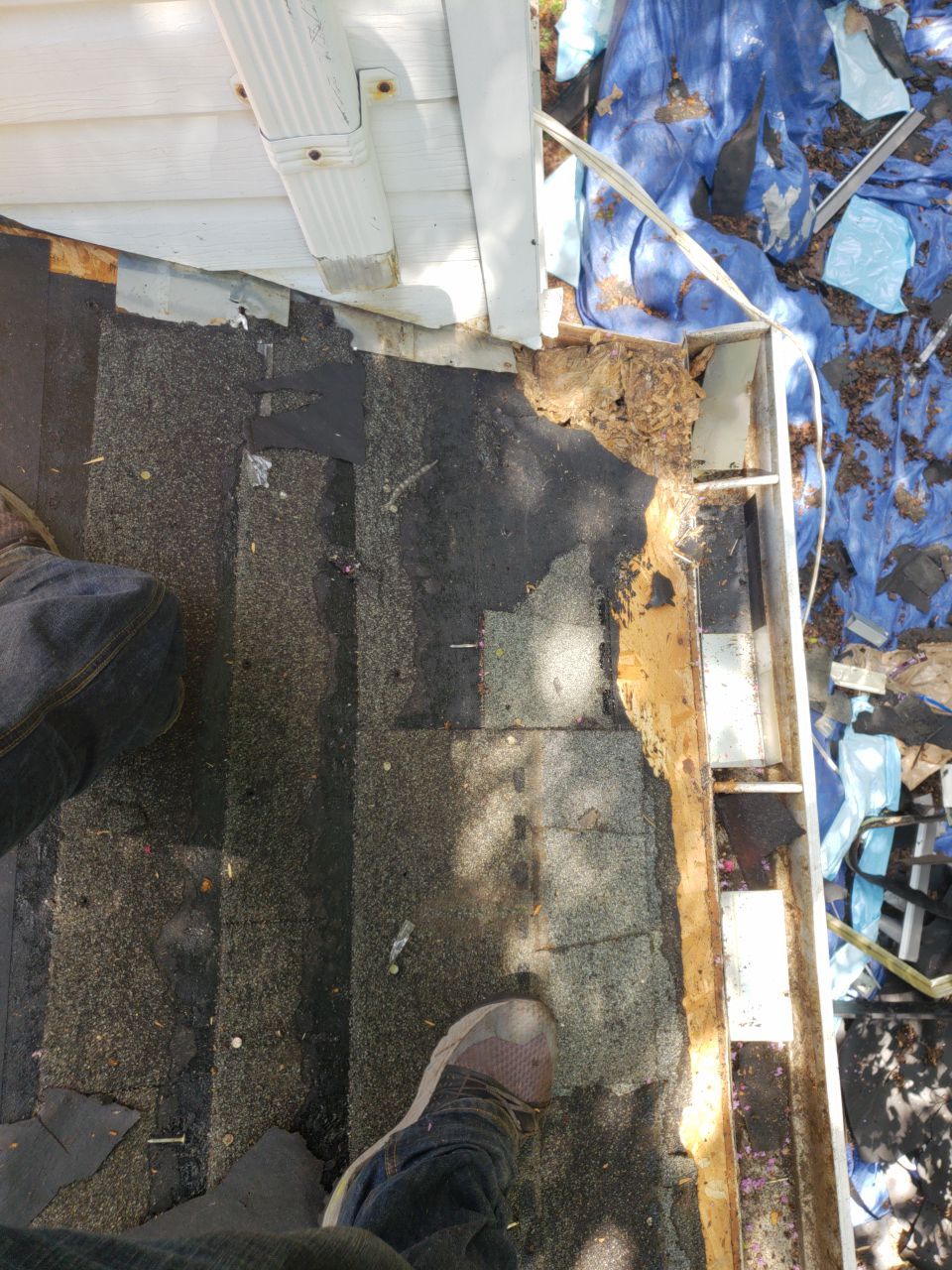 Alexandria: CertainTeed Landmark Pro Designer Shingles in Max Def Colonial Slate by RM Banning, Inc.