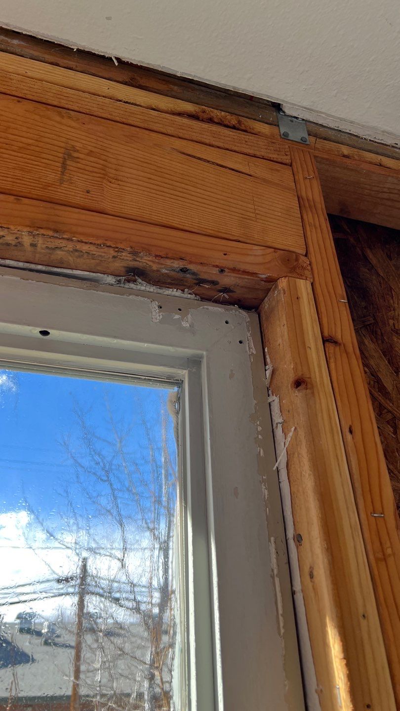 Mold Remediation  by Accountable Home Services