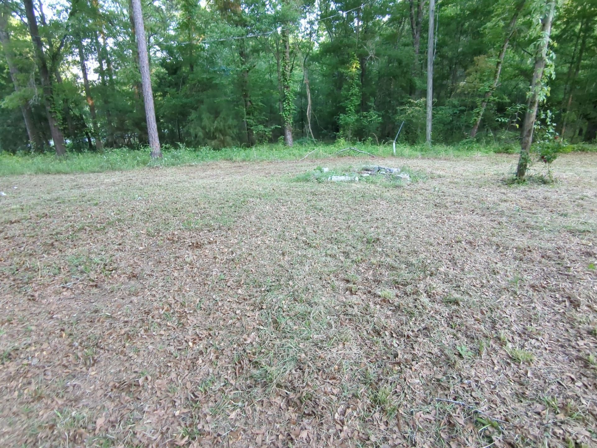 Exterior Clearing - tree trimming - grass cut by Swift Signings and Services LLC