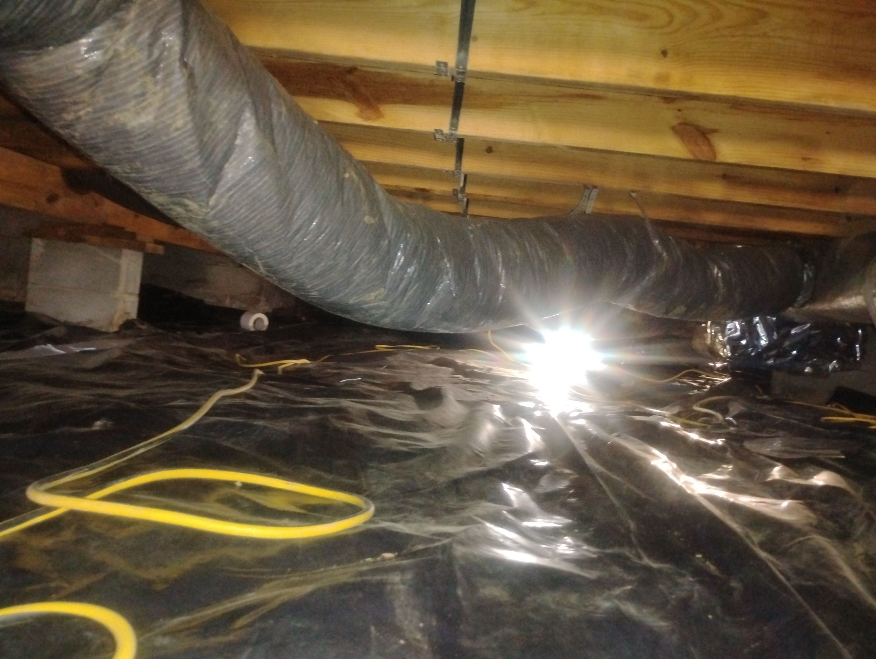 Crawlspace Mold Remediation in Austin, IN by ANR Restoration