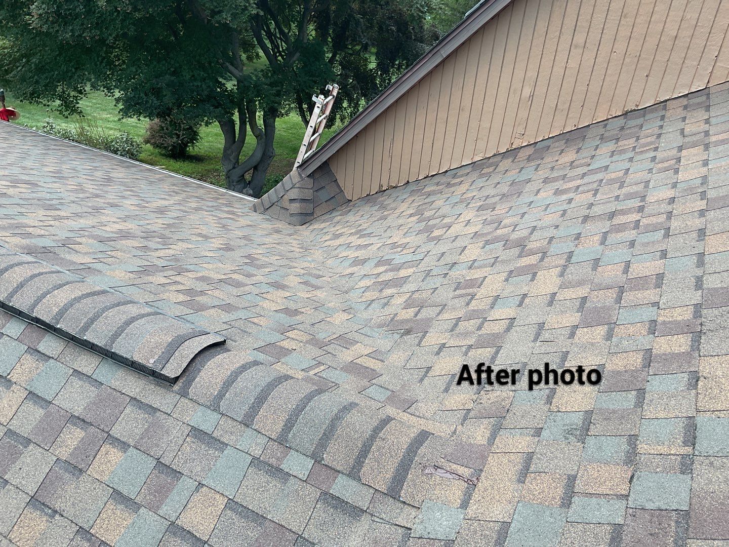 New Shingle Roof, New Skylights, New Windows, Repair T-1 11 panels by Alpha Design Services