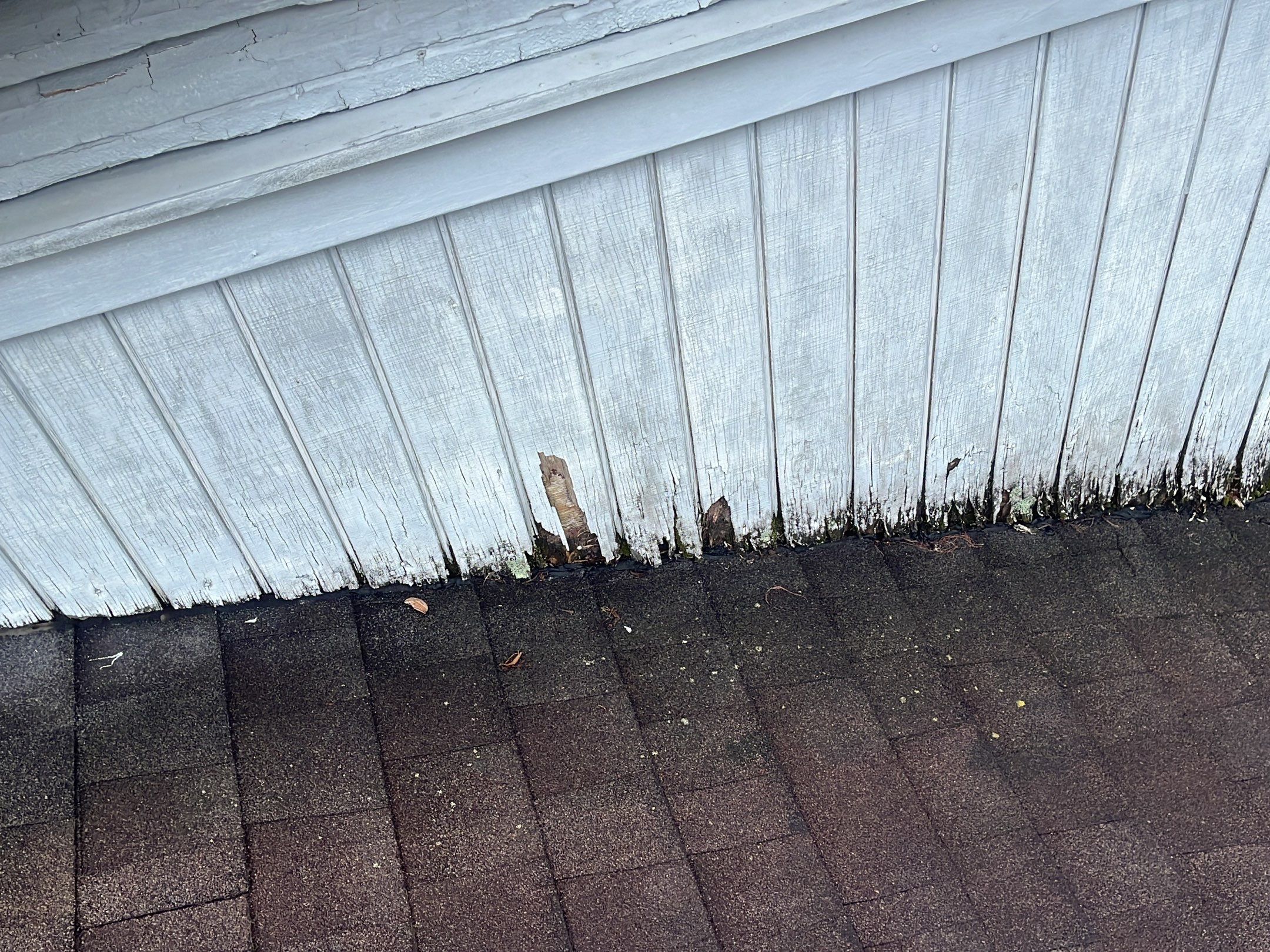 Shingle -> Metal by Prime Roofing