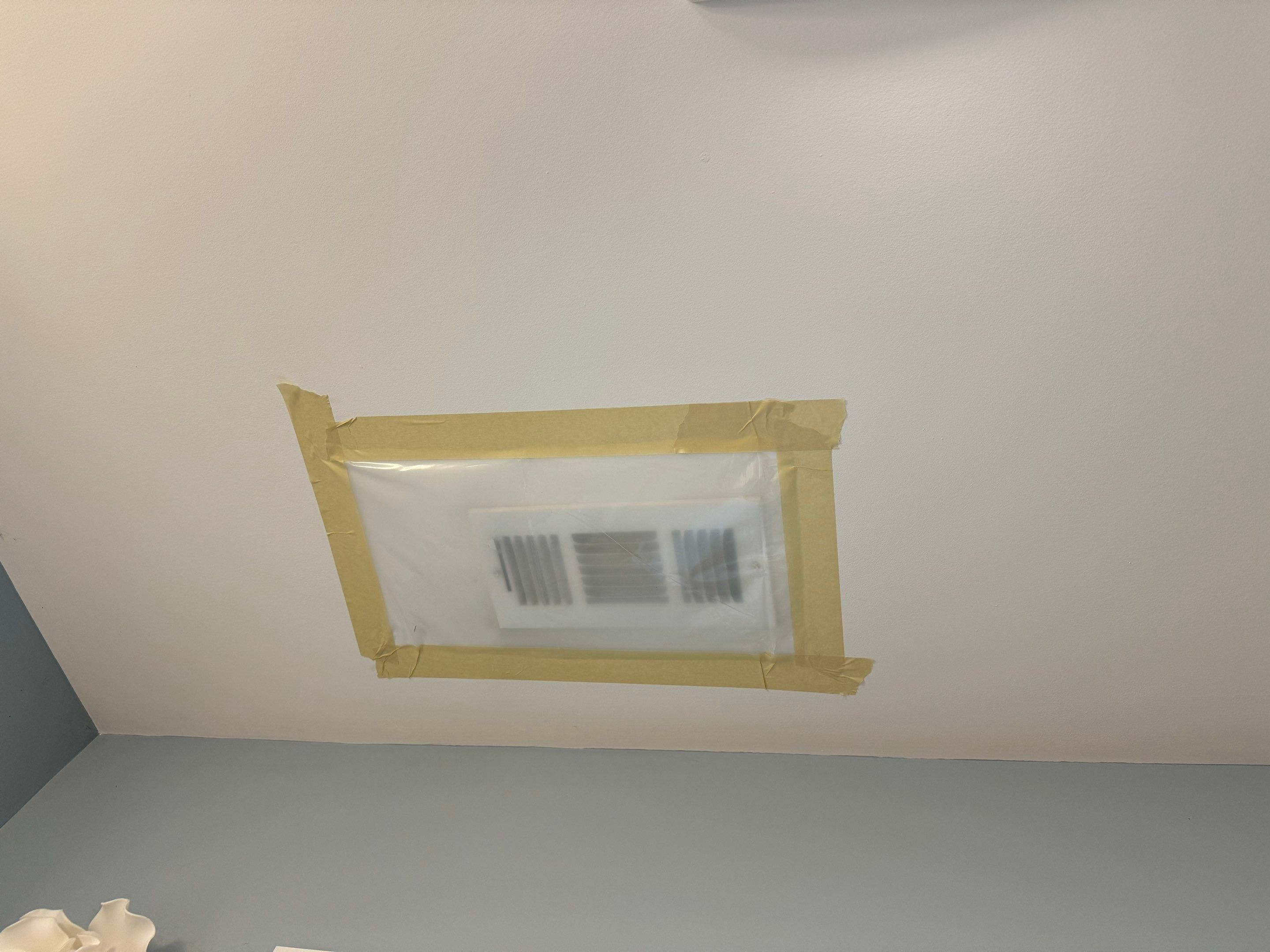 Bathroom Mold Remediation by Home Guarantee, LLC