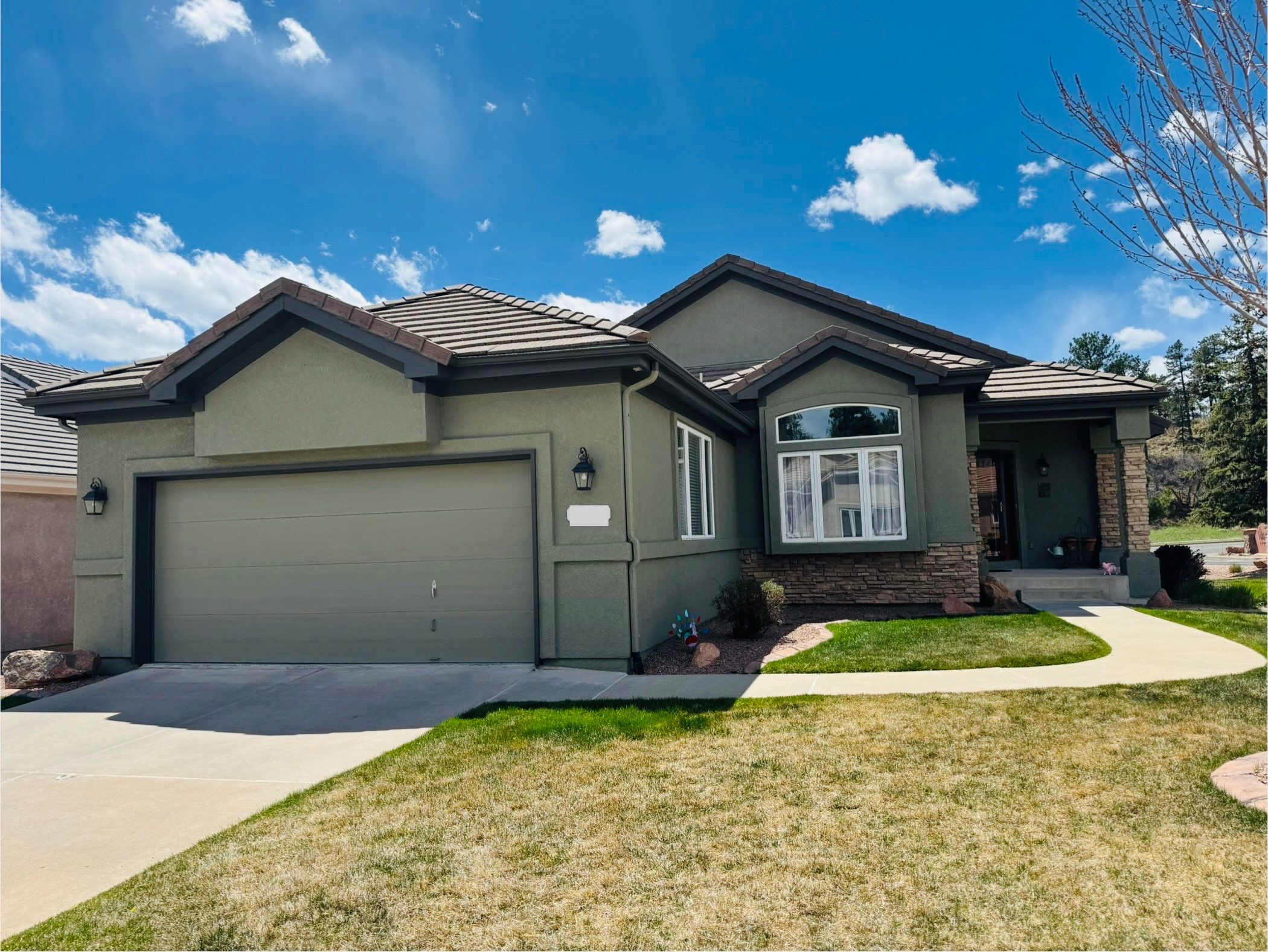 Other Elastomeric Projects by Carroll Painting LLC