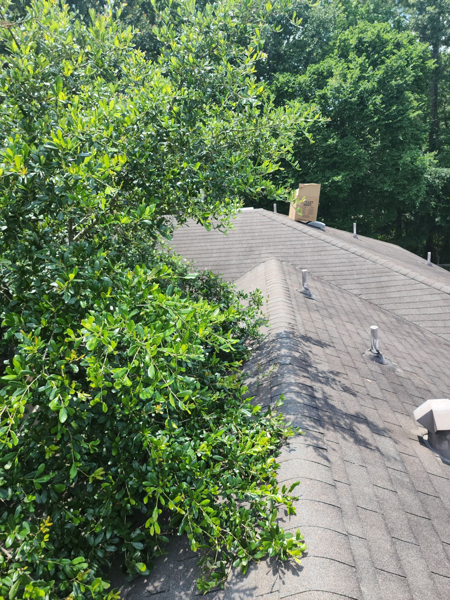 Residential Roofing Repair using Owen's Corning Duration (Lifetime) Shingles by Roof Repair Services LLC