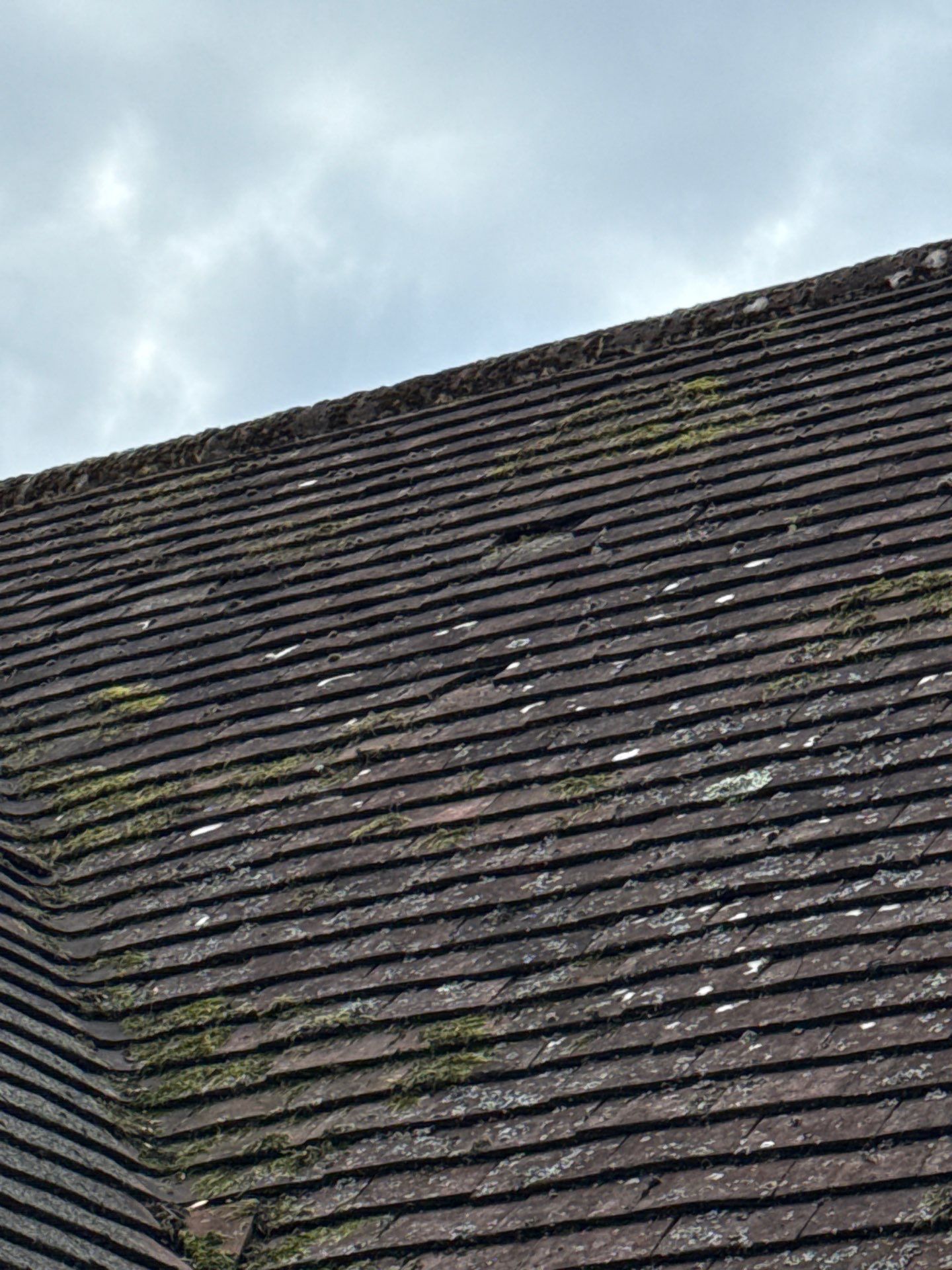 Roof - Driveway Clean -Patio Clean by Ges Exterior Cleaning ltd