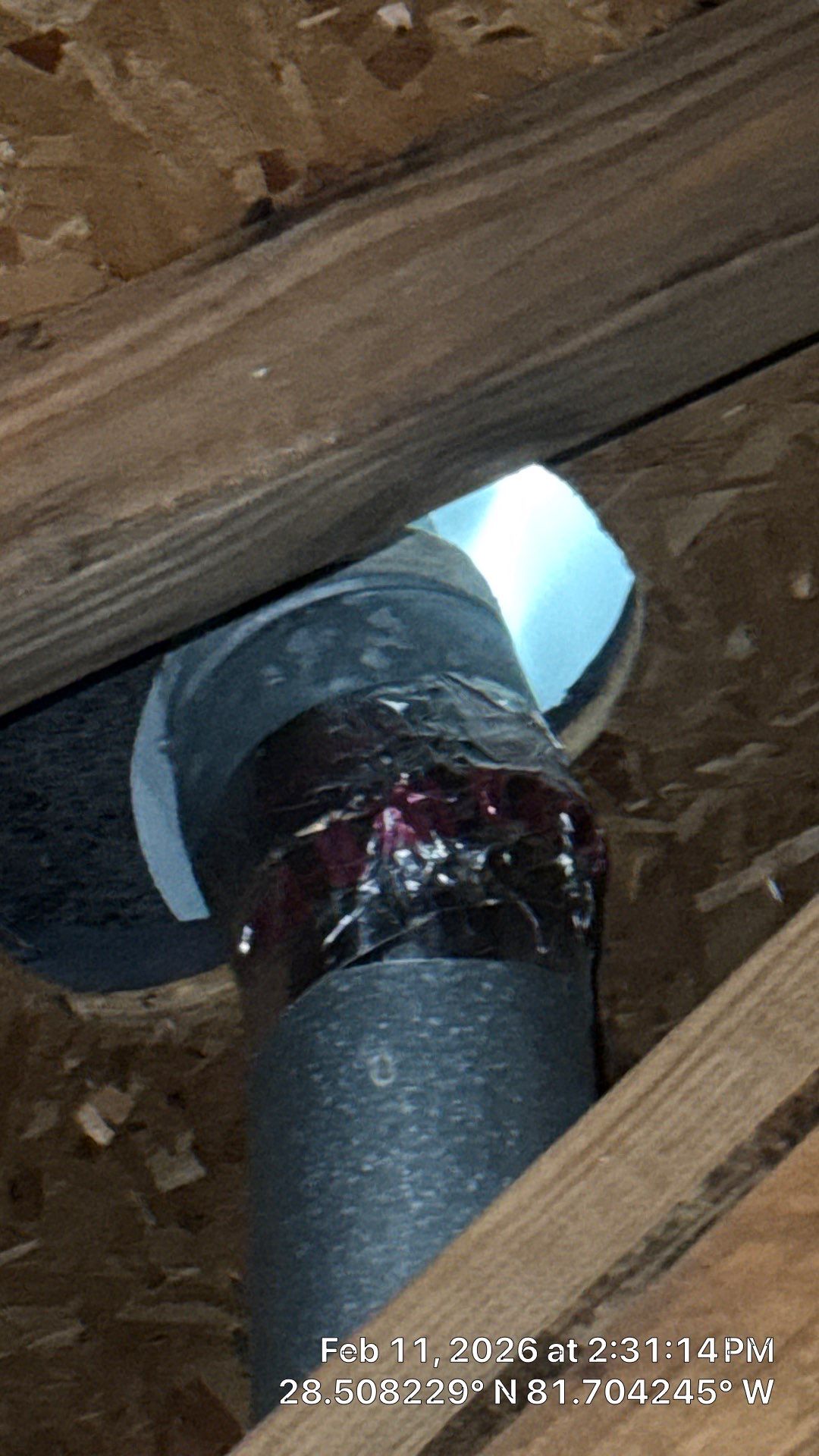 Air Duct Cleaning Dryer Vent Repair Sealed Plenum Clermont by Hygienic Air, Inc