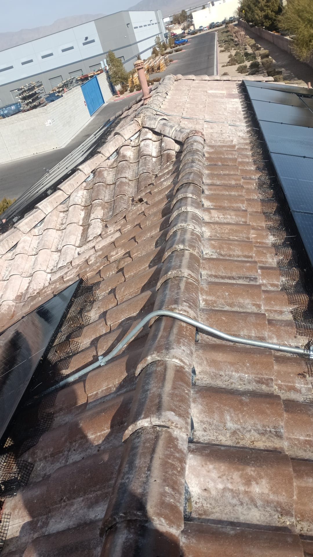Excessive pigeon problem  by Solar Honest Cleaning 